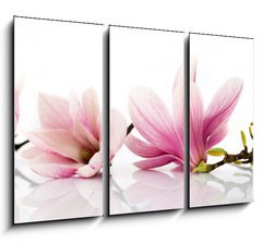 Obraz 3D tdln - 105 x 70 cm F_BB6579047 - flowers - kvtiny