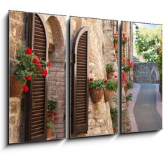 Obraz 3D tdln - 105 x 70 cm F_BB66065276 - Vicolo con fiori