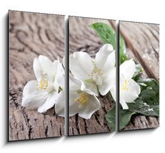 Obraz   Jasmine flowers over old wooden table., 105 x 70 cm