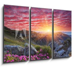 Obraz 3D tdln - 105 x 70 cm F_BB66580383 - Dawn with flowers in the mountains