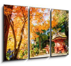 Obraz 3D tdln - 105 x 70 cm F_BB66639036 - Tanzan Shrine - Svatyn Tanzan