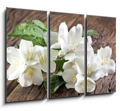 Obraz 3D tdln - 105 x 70 cm F_BB66646969 - Jasmine flowers over old wooden table.