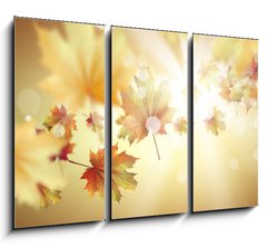 Obraz 3D tdln - 105 x 70 cm F_BB66663515 - Autumn leaves