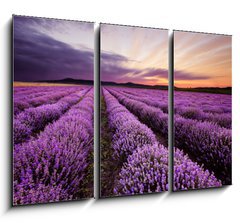 Obraz 3D tdln - 105 x 70 cm F_BB67101822 - Sunrise in Lavender Field