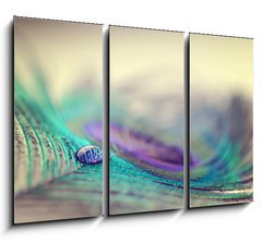 Obraz 3D tdln - 105 x 70 cm F_BB67250571 - Peacock feather and drop