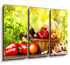 Obraz 3D tdln - 105 x 70 cm F_BB67464295 - Fresh Organic Bio Vegetable in a Basket over Nature Background