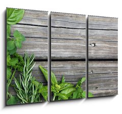 Obraz 3D tdln - 105 x 70 cm F_BB67467429 - herbs - byliny