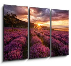 Obraz 3D tdln - 105 x 70 cm F_BB68209726 - Stunning landscape with lavender field at sunrise - Ohromujc krajina s levandulem pole pi vchodu slunce