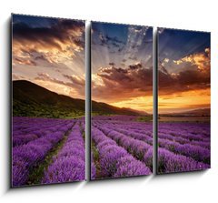 Obraz 3D tdln - 105 x 70 cm F_BB68260251 - Stunning landscape with lavender field at sunrise