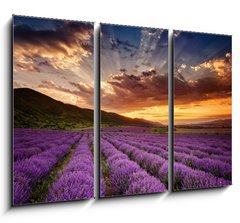 Obraz 3D tdln - 105 x 70 cm F_BB68260251 - Stunning landscape with lavender field at sunrise - Ohromujc krajina s levandulem pole pi vchodu slunce