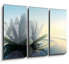 Obraz 3D tdln - 105 x 70 cm F_BB68326975 - Lotusblte im See