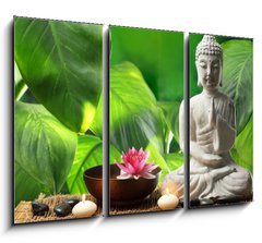 Obraz 3D tdln - 105 x 70 cm F_BB68464506 - Buddha in meditation