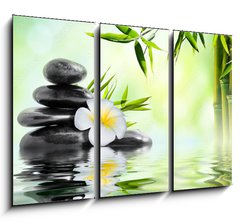Obraz 3D tdln - 105 x 70 cm F_BB68618057 - spa massage treatment in garden with frangipani and bamboo