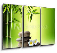 Obraz   spa background with bamboo and stones on water, 105 x 70 cm