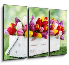 Obraz 3D tdln - 105 x 70 cm F_BB69344998 - tulips - tulipny