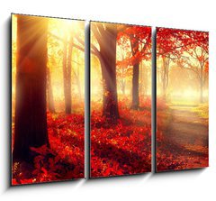 Obraz 3D tdln - 105 x 70 cm F_BB69511191 - Fall scene. Beautiful autumnal park in sunlight
