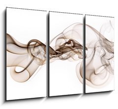 Obraz 3D tdln - 105 x 70 cm F_BB6989452 - Smoke