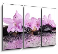 Obraz 3D tdln - 105 x 70 cm F_BB70327716 - flowers and black stones with reflection