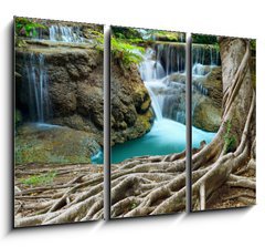 Obraz   banyan tree and limestone waterfalls in purity deep forest use n, 105 x 70 cm