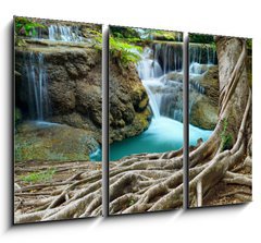 Obraz   banyan tree and limestone waterfalls in purity deep forest use n, 105 x 70 cm