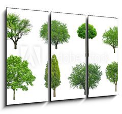 Obraz 3D tdln - 105 x 70 cm F_BB70577212 - tree