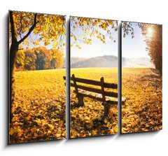 Obraz   Herbstlandschaft mit Sonnenschein, 105 x 70 cm