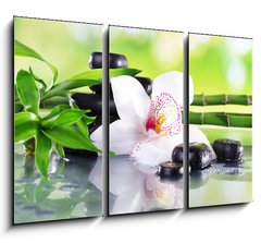 Obraz   Spa stones, bamboo branches and white orchid, 105 x 70 cm