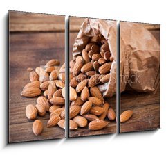 Obraz   almonds, 105 x 70 cm