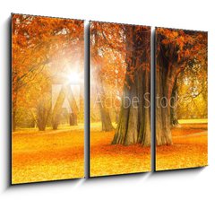 Obraz 3D tdln - 105 x 70 cm F_BB71135258 - golden october