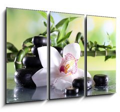Obraz 3D tdln - 105 x 70 cm F_BB71191786 - Spa stones and white orchid on table on natural background