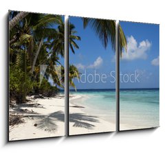 Obraz 3D tdln - 105 x 70 cm F_BB71231291 - tropical island palm sea and sky