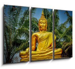 Obraz 3D tdln - 105 x 70 cm F_BB71319331 - Buddha statue