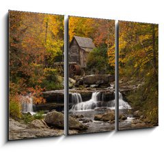 Obraz 3D tdln - 105 x 70 cm F_BB72228379 - Autumn Splendor