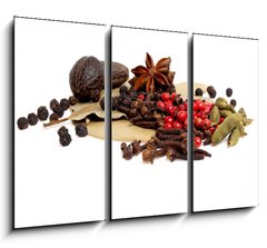 Obraz 3D tdln - 105 x 70 cm F_BB73902901 - Spices isolated on white background