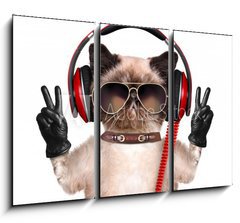 Obraz   Cat headphones., 105 x 70 cm
