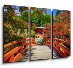 Obraz   Daigoji Temple in Autumn, Kyoto, Japan, 105 x 70 cm