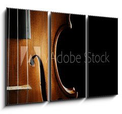 Obraz 3D tdln - 105 x 70 cm F_BB75616379 - Violin orchestra musical instruments