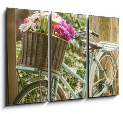 Obraz 3D tdln - 105 x 70 cm F_BB77974542 - Vintage bicycle with flowers in basket - Vintage kolo s kvtinami v koku