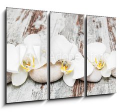 Obraz 3D tdln - 105 x 70 cm F_BB78194063 - beautiful orchid with stones