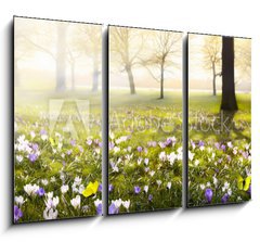 Obraz 3D tdln - 105 x 70 cm F_BB78313786 - abstract sunny beautiful Spring background