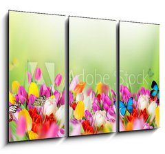 Obraz 3D tdln - 105 x 70 cm F_BB78579021 - Beautiful bouquet of tulips.