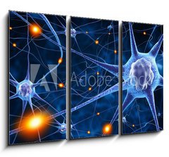 Obraz 3D tdln - 105 x 70 cm F_BB78707112 - nerve cells