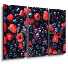 Obraz 3D tdln - 105 x 70 cm F_BB78821273 - blueberies, raspberries and black berries shot top down - blueberies, maliny a ern bobule zastelen shora dol