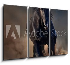 Obraz 3D tdln - 105 x 70 cm F_BB78859419 - Beautiful black stallion run in desert dust against sunset sky