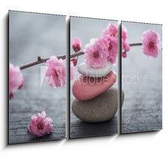 Obraz 3D tdln - 105 x 70 cm F_BB79754664 - fleurs zen