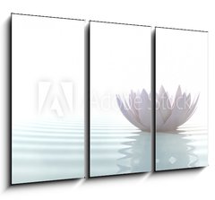 Obraz 3D tdln - 105 x 70 cm F_BB79997387 - Zen lotus on water