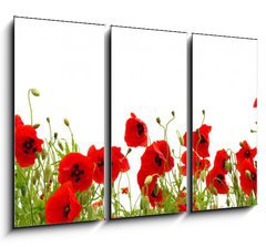 Obraz 3D tdln - 105 x 70 cm F_BB81019876 - red poppy