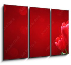 Obraz   Wunderschne Tulpen, 105 x 70 cm