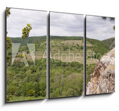 Obraz   View of well known vineyard Sobes in Znojmo region, Moravia, Cze, 105 x 70 cm