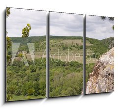 Obraz 3D tdln - 105 x 70 cm F_BB83256331 - View of well known vineyard Sobes in Znojmo region, Moravia, Cze